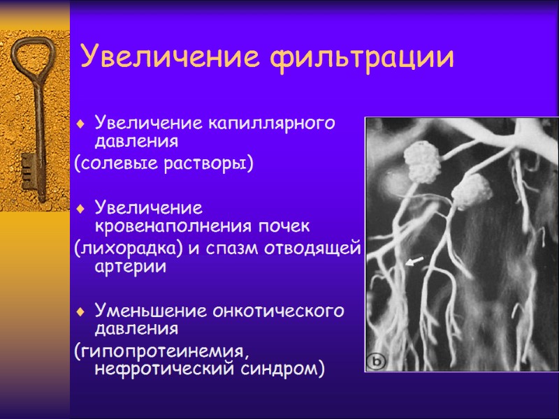 Увеличение фильтрации Увеличение капиллярного давления  (солевые растворы)  Увеличение кровенаполнения почек (лихорадка) и